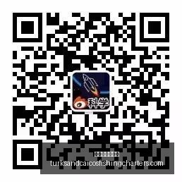 王者荣耀新,英雄上线,技能机制引,澳门新葡京官网,澳门新葡京官网App,澳门新葡京官网下载,澳门新葡京官网登录,澳门新葡京官网平台