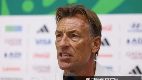 2026深度解析_实战检验中的理论价值差异与表现